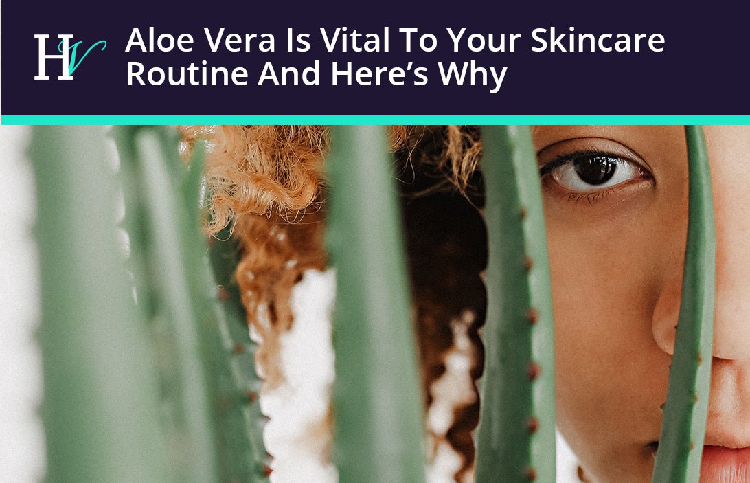 Aloe Vera Is Vital To Your Skincare Routine And Here’s Why - HueVine Wellness + Spa